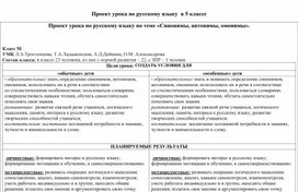 Конспект урока для детей с ОВЗ в инклюзивном классе по теме «Синонимы. Антонимы. Омонимы».