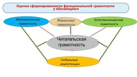 Обложка для материала Презентация Оценка сформированности функциональной грамотности у обучающихся