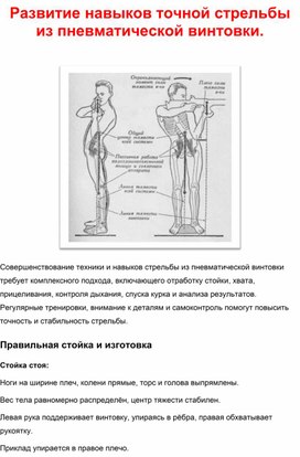 Обложка для материала Развитие навыков точной стрельбы из пневматической винтовки.
