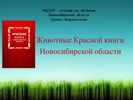 Презентация "Животные Красной книги Новосибирской области"