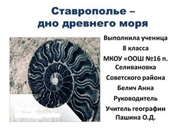 Исследовательская работа "Ставрополье - дно древнего моря"