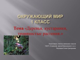 Обложка для материала Тема «Деревья, кустарники, травянистые растения.»