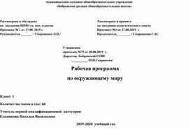 Рабочая программа по окружающему миру для 1 класса по программе "Школа России"