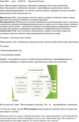 Конспект урока  по биологии. Тема: Митохондрии. Пластиды. Органы движения. Включения.