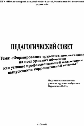 Педагогический совет: «Формирование трудовых компетенций на всех уровнях обучения как условие профессиональной подготовки выпускников коррекционной школы».