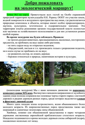 Экскурсия по Экологическому маршруту