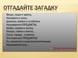 Презентация  русского языка по теме : "Имя существительное"