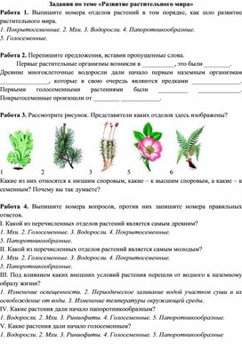 Для урока. Развитие растительного мира.