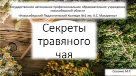 Пример защиты проектной работы с учениками младшей школы по теме "Секреты травяного чая"