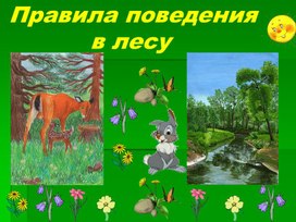Обложка для материала Правила безопасного поведения в лесу.