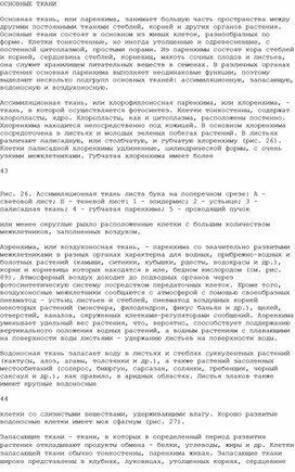 Обложка для материала Аэренхима