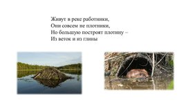 Обложка для материала Презентация к уроку литературного чтения
