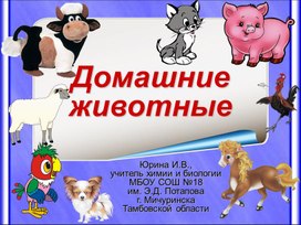 Презентация к уроку биологии "Домашние животные"