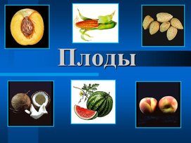 Обложка для материала Презентация по биологии на тему _Плоды_