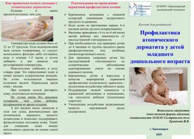 Обложка для материала Профилактика  атопического  дерматита у детей младшего дошкольного возраста