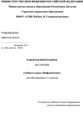 Обложка для материала Рабочая программа по информатике за 10-11 класс