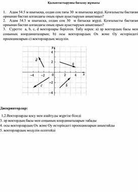 Обложка для материала Векторлар қалыптастырушы бағалау