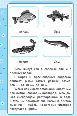Обложка для материала Окружающий мир для 1-4 классов_схема_20