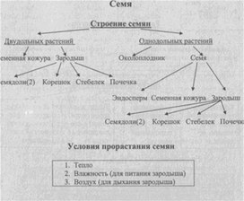 Материал к урокам  биологии