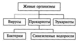 Обложка для материала животные организмы