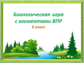 Презентация "Игра с элементами ВПР" 6 кл