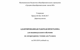 Адаптированная программа по  литературному чтению 3 класс "Школа России"