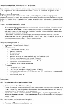Обложка для материала Лабораторная работа: «Выделение ДНК из банана»