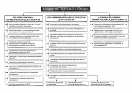 Руководство деятельностью ДОУ