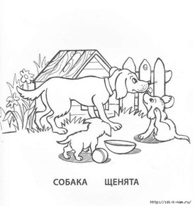 Обложка для материала собака