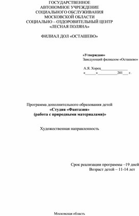 Дополнительная общеобразовательная программа "Студия: Фантазия"