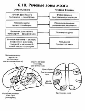 Обложка для материала материал по психофизиологии