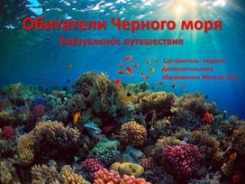 Презентация для детей дошкольного возраста "Обитатели Черного моря"