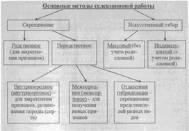 Материал к урокам  биологии