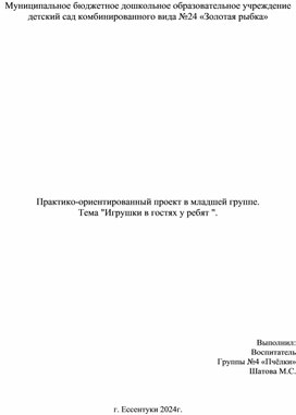 Обложка для материала Проект "Игрушки в гостях у ребят"
