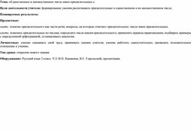 Конспект урока по русскому языку "Единственное и множественное число имён прилагательных"