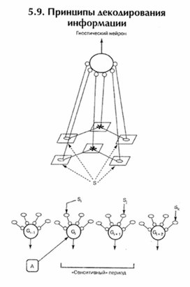 Обложка для материала материал по психофизиологии