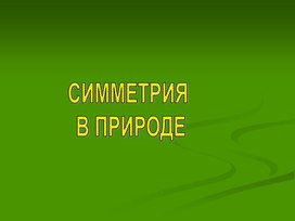 Урок окружающего мира по теме "Симметрия в природе"