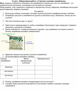 Лабораторная работа. Строение слоевища лишайников