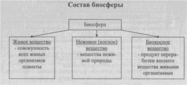 Материал к урокам  биологии