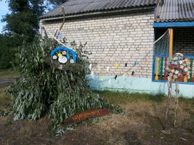 Обложка для материала Жизнь нашего класса