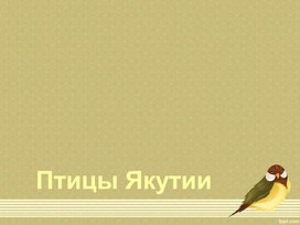 Презентация "Птицы Сибири"