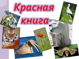 Презентация по окружающему миру "Красная книга".