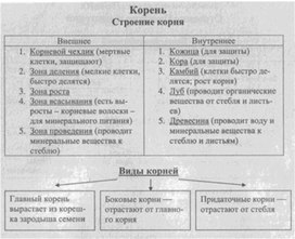 Материал к урокам  биологии