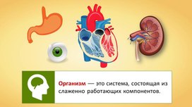 Обложка для материала Рабочие компоненты органов