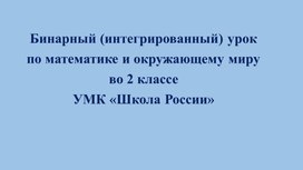 Обложка для материала Бинарный урок