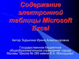 Содержание электронной таблицы Microsoft Excel
