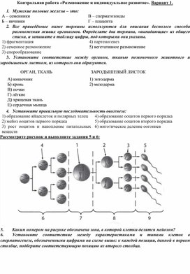 Обложка для материала контрольная 10 класс размножение и индивидуальное развитие
