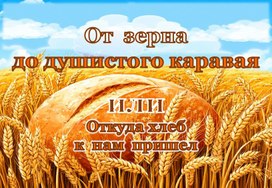 Обложка для материала От зерна до душистого каравая