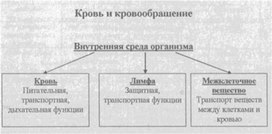 Материал к урокам  биологии