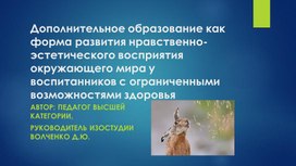 Презентация "Работа в дополнительном образовании с детьми с ОВЗ